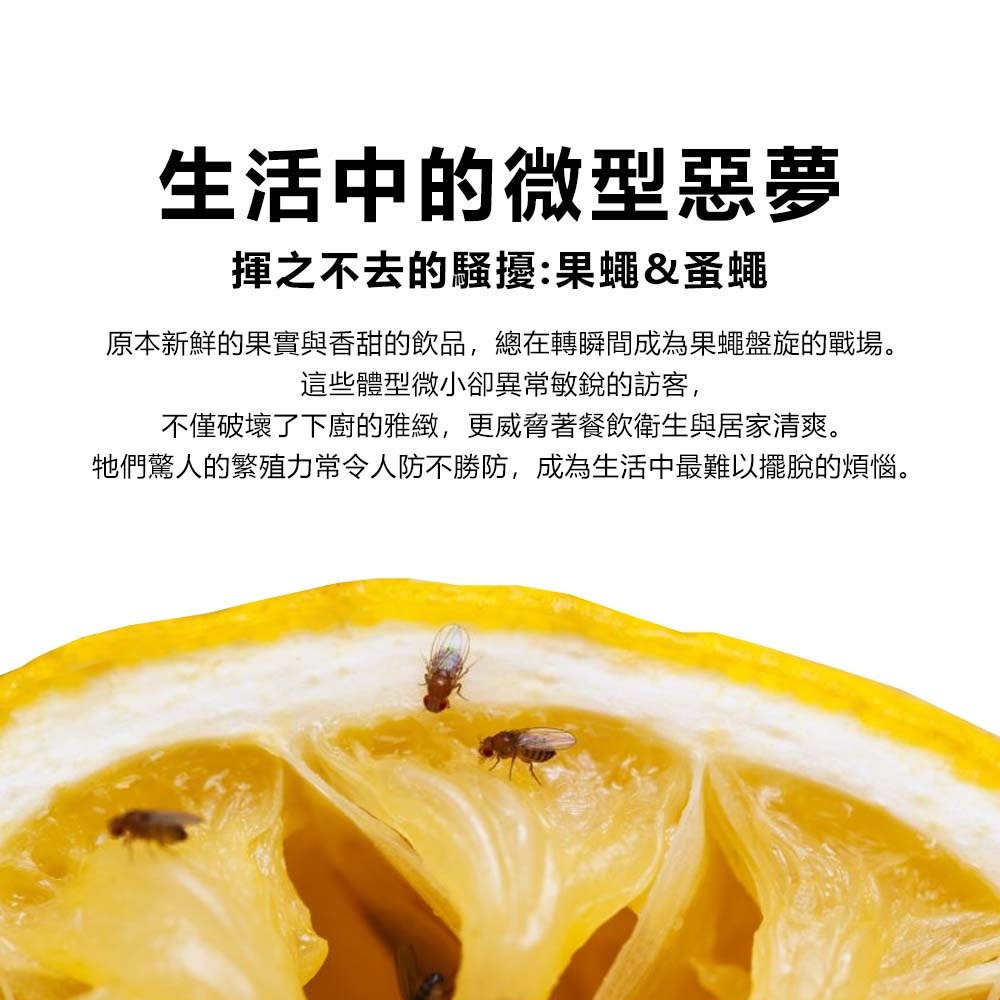 【愛淘購物】果蚤蠅 70g 果蠅餌劑 誘聚餌寶 速必效 果蠅餌劑 捕蠅 滅果蠅 除果蠅 蚤蠅 除蟲 抓果蠅-細節圖2