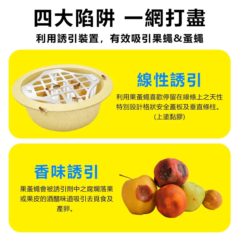 【愛淘購物】果蚤蠅 70g 果蠅餌劑 誘聚餌寶 速必效 果蠅餌劑 捕蠅 滅果蠅 除果蠅 蚤蠅 除蟲 抓果蠅-細節圖4