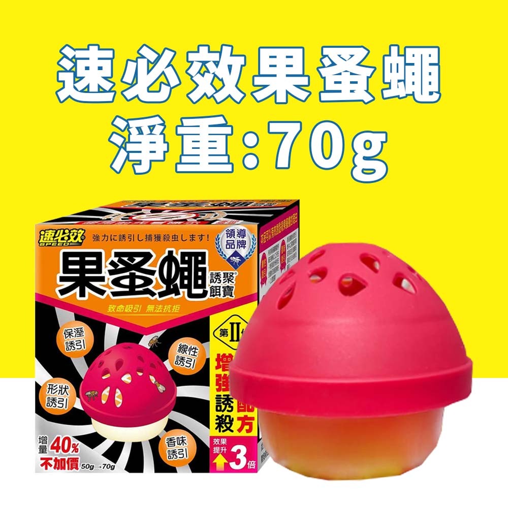 【愛淘購物】果蚤蠅 70g 果蠅餌劑 誘聚餌寶 速必效 果蠅餌劑 捕蠅 滅果蠅 除果蠅 蚤蠅 除蟲 抓果蠅-規格圖9