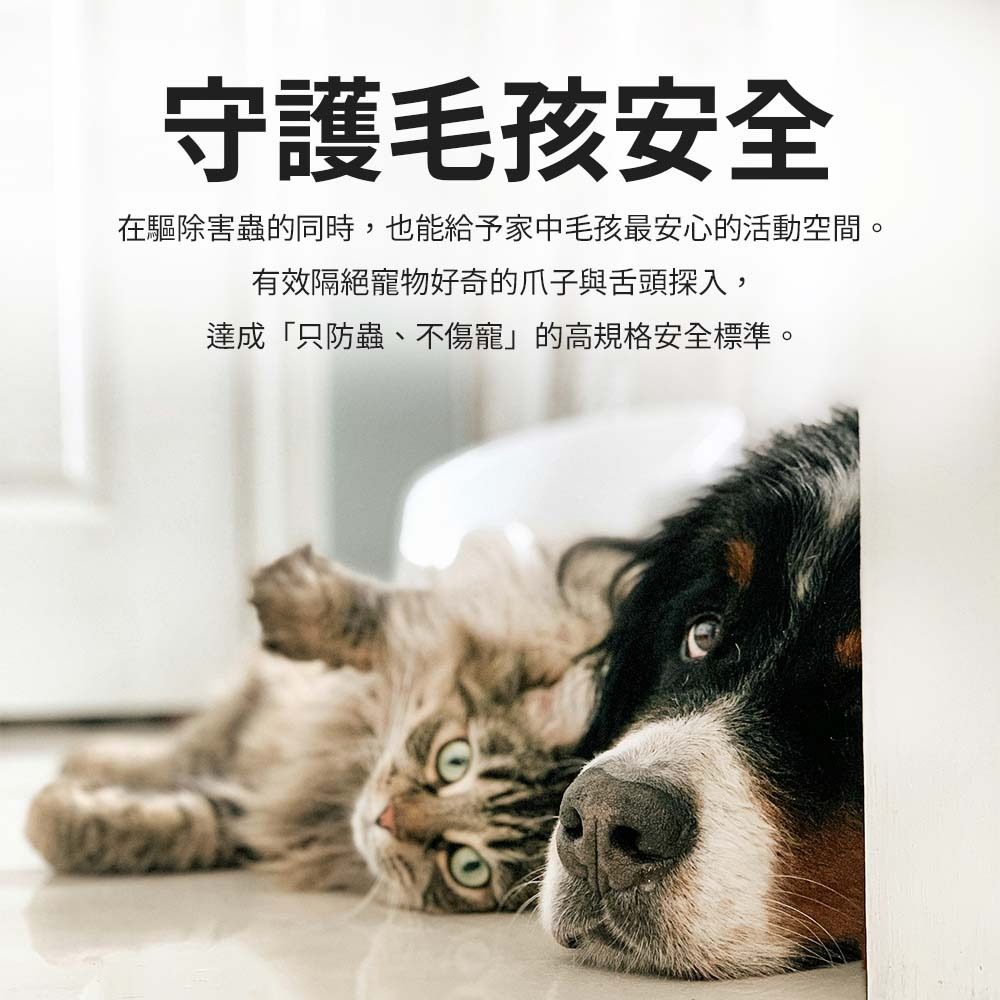 【愛淘購物】餌劑盒 一點絕專用 餌盒 誤食盒 藥劑盒 蟑螂螞蟻藥餌劑盒 防誤食 蟑螂藥劑專用盒 小餌盒-細節圖4