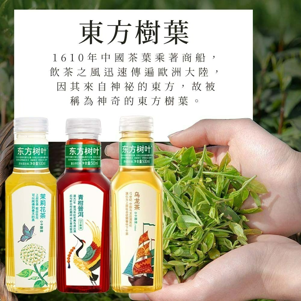 【愛淘購物】東方樹葉 茉莉花茶 青柑普洱 500ml 瓶裝 單入 花茶 飲料 0卡路里 0糖 0脂肪-細節圖6