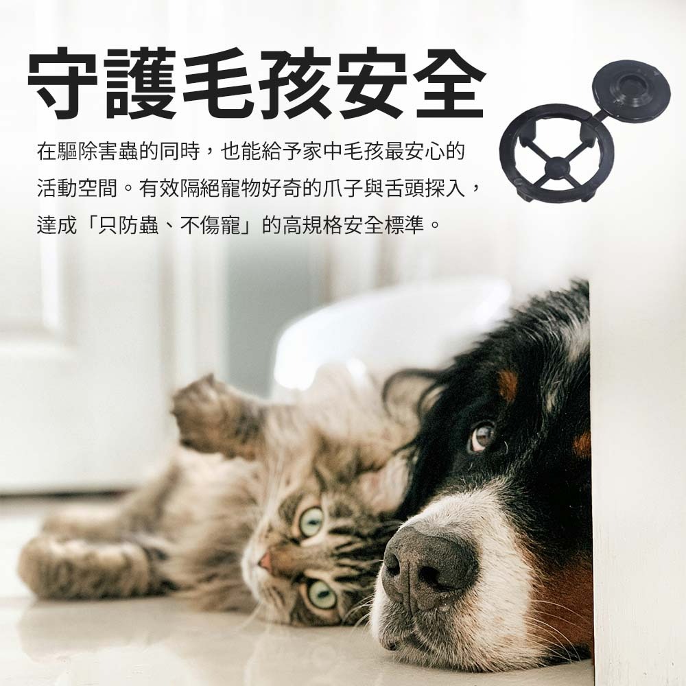 【愛淘購物】奧除驅蟻劑 新奧除 奧除+蟻滅劑 80g 升級加強 螞蟻藥 餌盒 防治螞蟻 餌劑 驅蟻 蟻滅-細節圖6