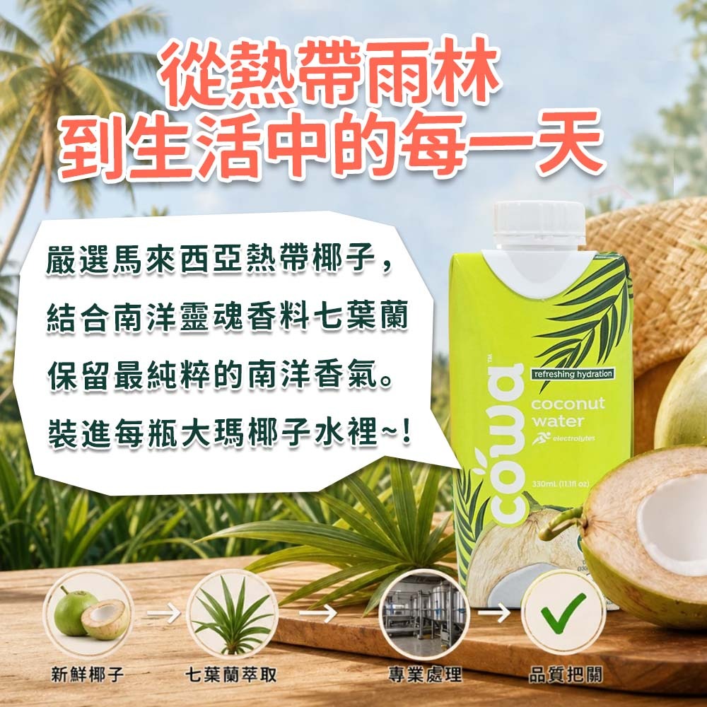 【愛淘購物】大瑪椰子水 330ml  12瓶裝 箱購 七葉蘭風味 cowa 南洋 椰香 椰子水 椰子汁-細節圖3