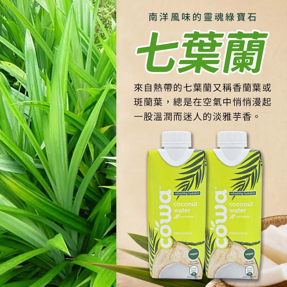 【愛淘購物】大瑪椰子水 330ml  12瓶裝 箱購 七葉蘭風味 cowa 南洋 椰香 椰子水 椰子汁-細節圖6