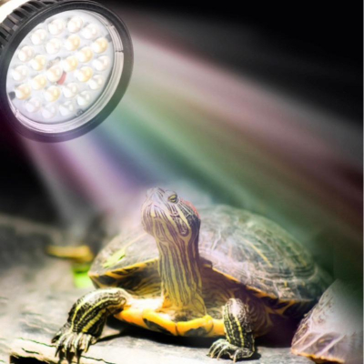 LED殺菌消毒曬背燈 UVB 5.0 補鈣燈 紫外線燈 陸龜 蜥蜴 爬蟲 曬背燈
