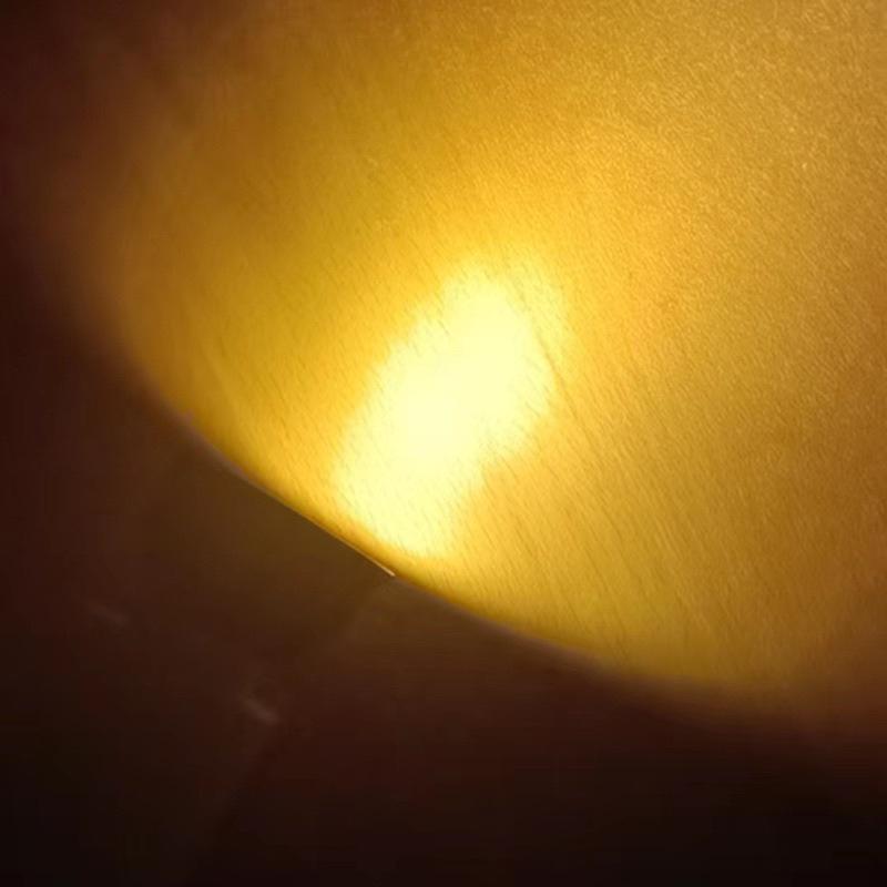 LED殺菌消毒曬背燈 UVB 5.0 補鈣燈 紫外線燈 陸龜 蜥蜴 爬蟲 曬背燈-細節圖8