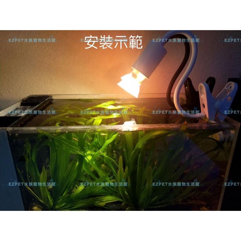 曬背燈 烏龜曬背燈 爬蟲燈夾 陶瓷燈泡 燈罩 燈座 保溫燈 取暖燈 爬蟲燈具 保暖燈-細節圖3