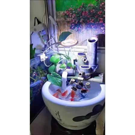 5W USB LED燈 補光燈 夾燈 led 夾燈水族 魚缸夾燈 桌燈 水草燈 燈具魚缸燈-細節圖4