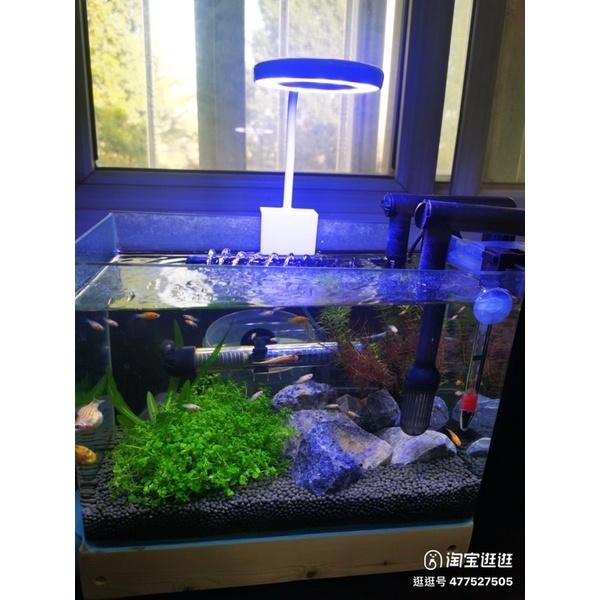 5W USB LED燈 補光燈 夾燈 led 夾燈水族 魚缸夾燈 桌燈 水草燈 燈具魚缸燈-細節圖5