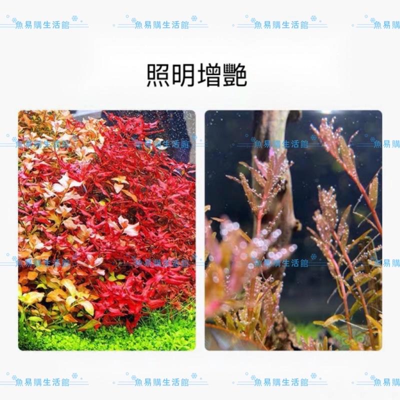 5W USB LED燈 補光燈 夾燈 led 夾燈水族 魚缸夾燈 桌燈 水草燈 燈具魚缸燈-細節圖6