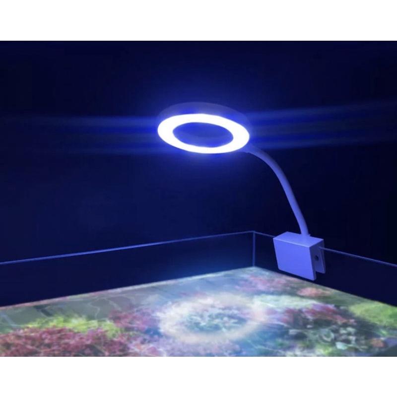 5W USB LED燈 補光燈 夾燈 led 夾燈水族 魚缸夾燈 桌燈 水草燈 燈具魚缸燈-細節圖7