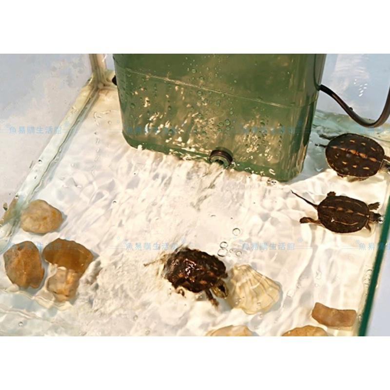 🈶️台灣出貨🈶️800L/H大流量水泵 魚缸 烏龜缸 低水位過濾器 烏龜過濾器 低水位過濾器 龜缸過濾器 烏龜缸-細節圖7