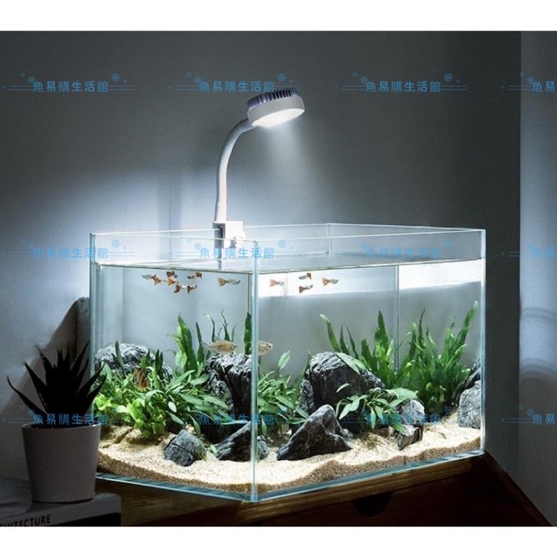 🈶️USB LED 小黑小白圓型夾燈 led 夾燈水族 水草燈  魚缸夾燈 桌燈 LED燈 燈具-細節圖5