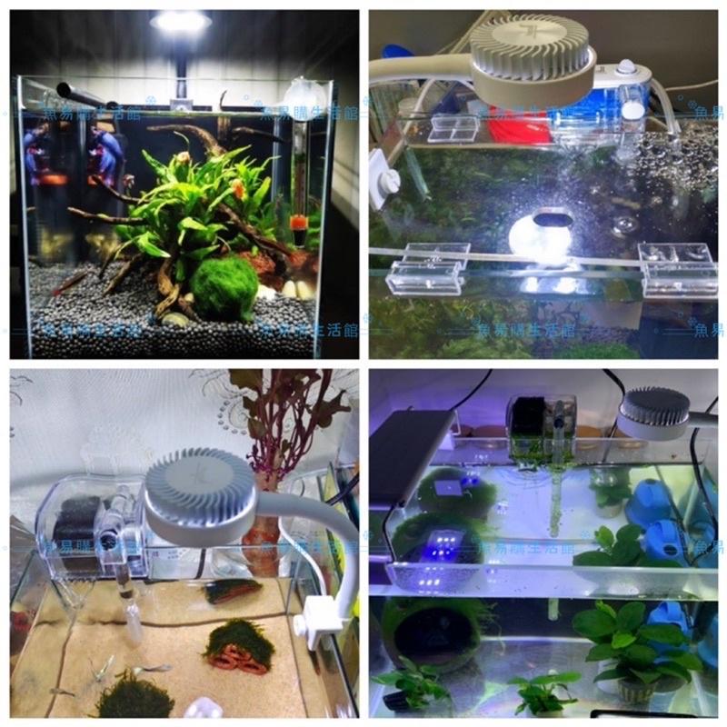 🈶️USB LED 小黑小白圓型夾燈 led 夾燈水族 水草燈  魚缸夾燈 桌燈 LED燈 燈具-細節圖7