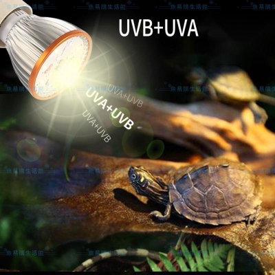 🈶️高數值 全光譜UVA+UVB LED曬背燈泡 寵物 爬蟲 烏龜 陸龜 曬背燈