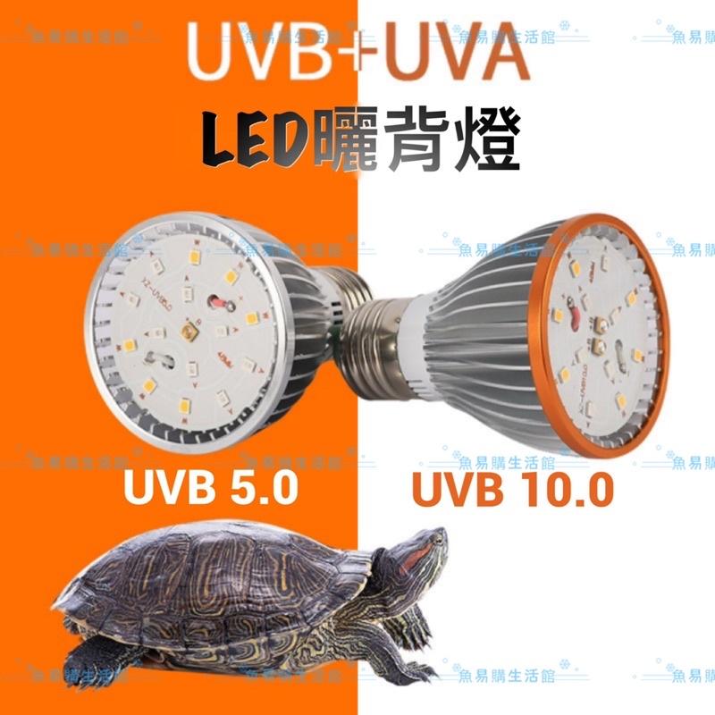 🈶️高數值 全光譜UVA+UVB LED曬背燈泡 寵物 爬蟲 烏龜 陸龜 曬背燈-細節圖2