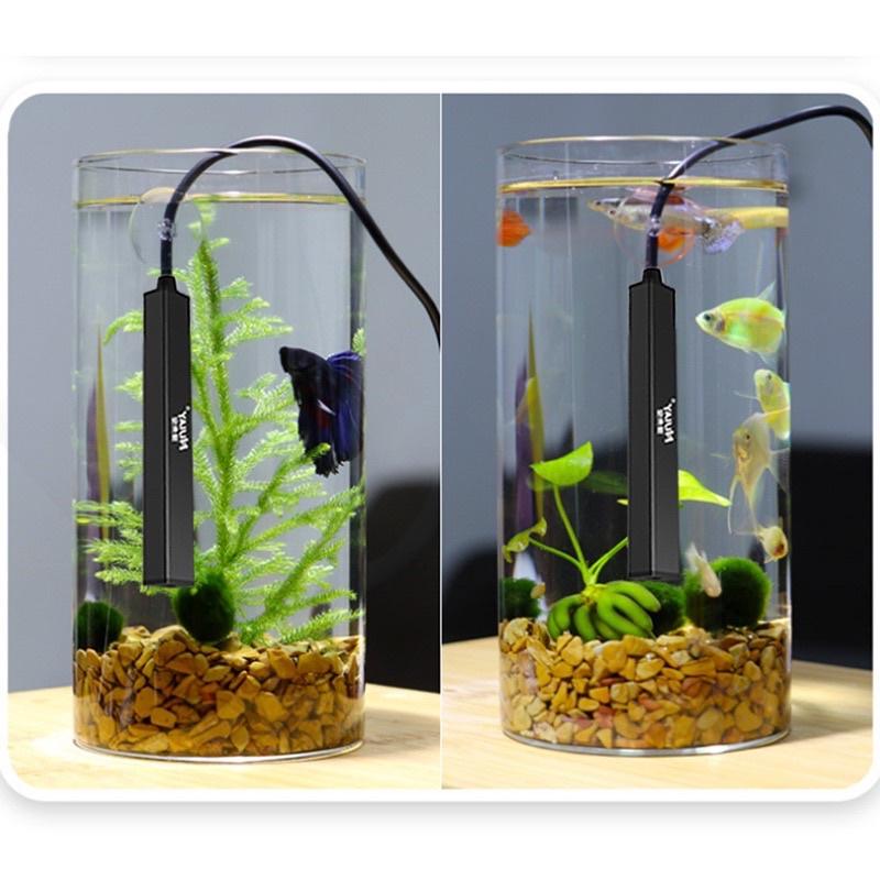 🈶️USB安全低電壓 迷你加熱棒 加溫棒 加熱棒 加溫棒 烏龜缸 魚缸 加溫棒 加熱器 迷你加熱棒-細節圖2