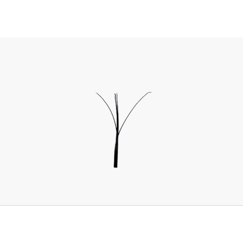 ifune pretty 伊芙妮 鳳尾蝶 三葉草 睫毛 美睫  0.07 C卷 D卷-細節圖6