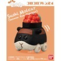 【歐賣小舖】BANDAI 食玩 PUI PUI 天竺鼠車車 好朋友系列4 全8種-規格圖8