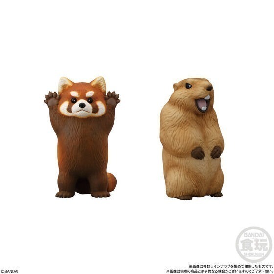 【歐賣小舖】BANDAI 食玩 掌中動物 好朋友系列9 全8種-細節圖4