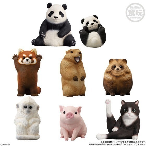 【歐賣小舖】BANDAI 食玩 掌中動物 好朋友系列9 全8種-細節圖2