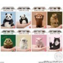【歐賣小舖】BANDAI 食玩 掌中動物 好朋友系列9 全8種-規格圖7
