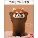 【歐賣小舖】現貨 BANDAI 食玩 掌中動物 好朋友系列9 全8種-規格圖2