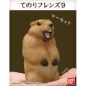 【歐賣小舖】現貨 BANDAI 食玩 掌中動物 好朋友系列9 全8種-規格圖2