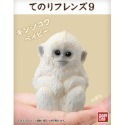 【歐賣小舖】BANDAI 食玩 掌中動物 好朋友系列9 全8種-規格圖7