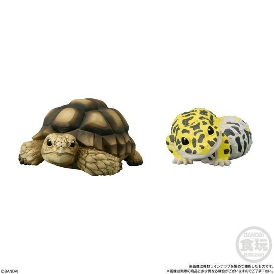 【歐賣小舖】BANDAI 食玩 掌中動物 好朋友系列8 全10種-細節圖3