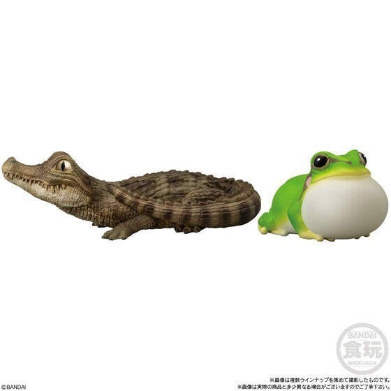 【歐賣小舖】BANDAI 食玩 掌中動物 好朋友系列8 全10種-細節圖4