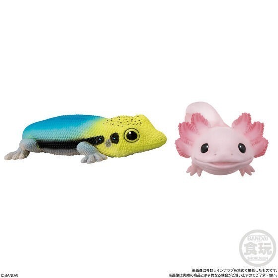 【歐賣小舖】BANDAI 食玩 掌中動物 好朋友系列8 全10種-細節圖7