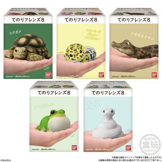 【歐賣小舖】BANDAI 食玩 掌中動物 好朋友系列8 全10種-細節圖8