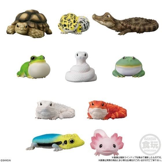 【歐賣小舖】BANDAI 食玩 掌中動物 好朋友系列8 全10種-規格圖9