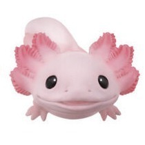 【歐賣小舖】BANDAI 食玩 掌中動物 好朋友系列8 全10種-規格圖9