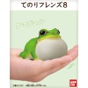 日本雨蛙