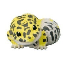 【歐賣小舖】BANDAI 食玩 掌中動物 好朋友系列8 全10種-規格圖9