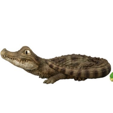 【歐賣小舖】BANDAI 食玩 掌中動物 好朋友系列8 全10種-規格圖9