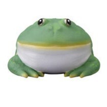 【歐賣小舖】BANDAI 食玩 掌中動物 好朋友系列8 全10種-規格圖9