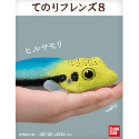 【歐賣小舖】現貨 BANDAI 食玩 掌中動物 好朋友系列8 全10種-規格圖3