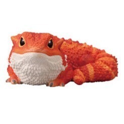 【歐賣小舖】BANDAI 食玩 掌中動物 好朋友系列8 全10種-規格圖9