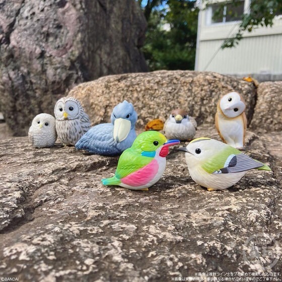 【歐賣小舖】BANDAI 食玩 掌中動物 好朋友系列7 全10種-細節圖9