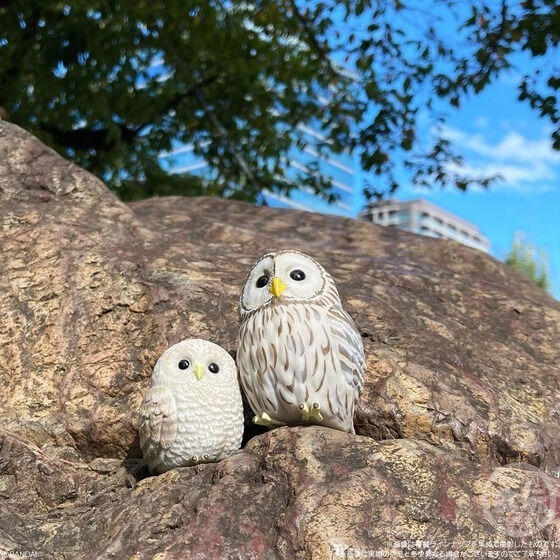 【歐賣小舖】BANDAI 食玩 掌中動物 好朋友系列7 全10種-細節圖10