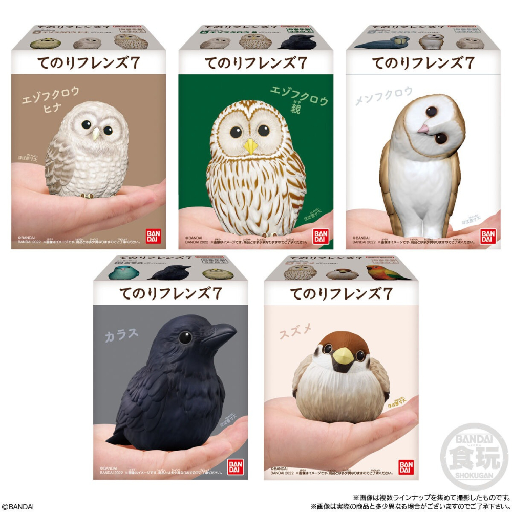 【歐賣小舖】現貨 BANDAI 食玩 掌中動物 好朋友系列7 全10種-細節圖2