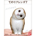 【歐賣小舖】現貨 BANDAI 食玩 掌中動物 好朋友系列7 全10種-規格圖5