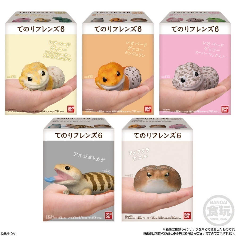 【歐賣小舖】BANDAI 食玩 掌中動物 好朋友系列6 全11種-細節圖2