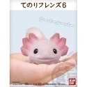 【歐賣小舖】BANDAI 食玩 掌中動物 好朋友系列6 全11種-規格圖3