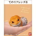 【歐賣小舖】BANDAI 食玩 掌中動物 好朋友系列6 全11種-規格圖3