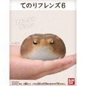 【歐賣小舖】BANDAI 食玩 掌中動物 好朋友系列6 全11種-規格圖3