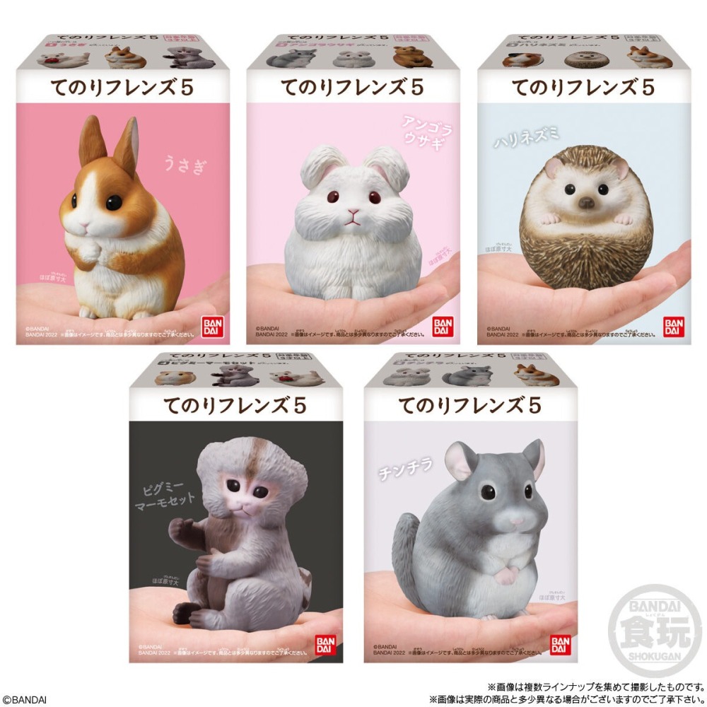 【歐賣小舖】現貨 BANDAI 食玩 掌中動物 好朋友系列5 全10種-細節圖2